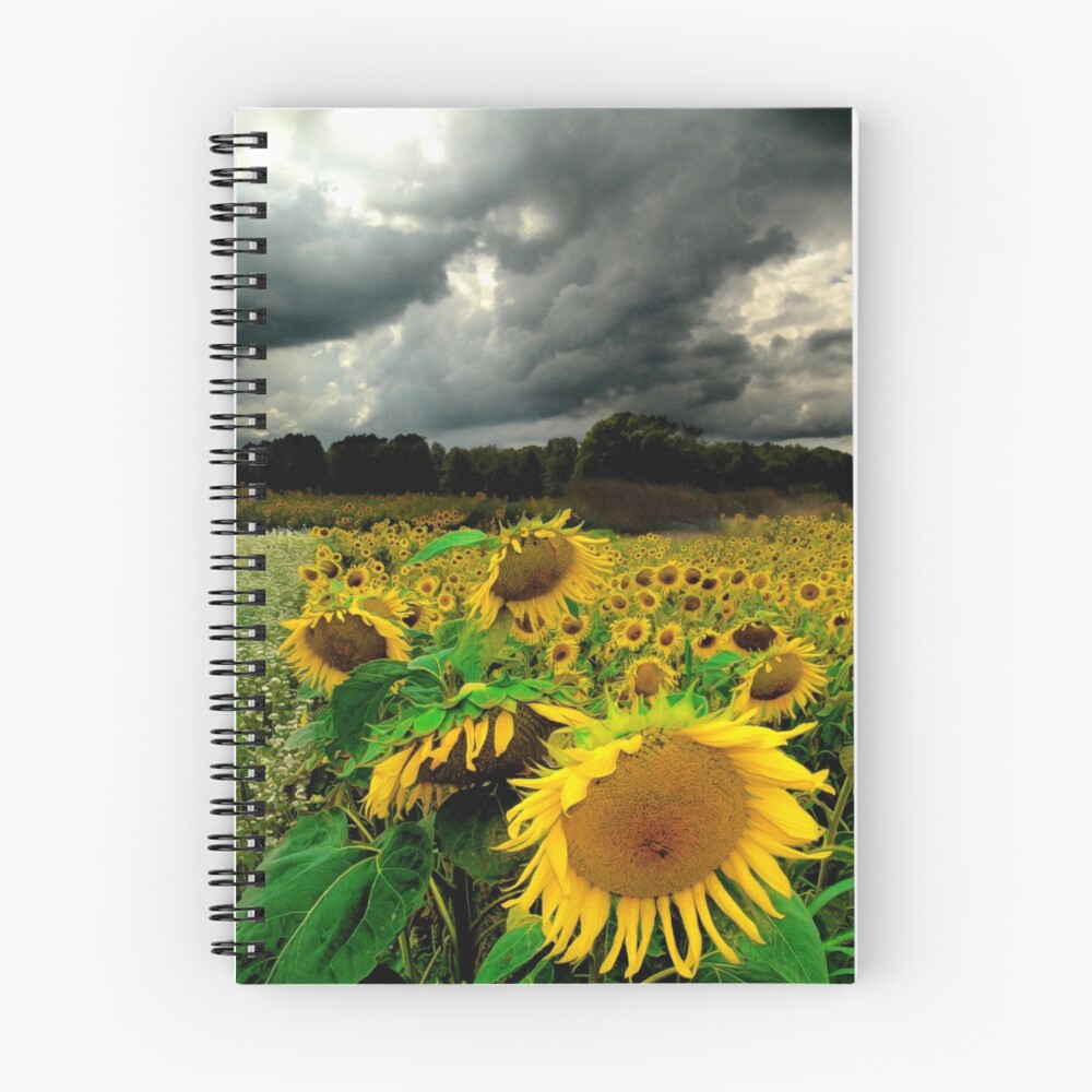 Item preview, Spiral Notebook designed and sold by signore.