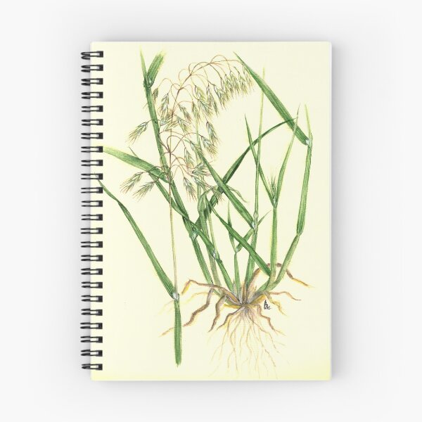 Item preview, Drooping Brome - Bromus tectorum designed and sold by Sue Abonyi.