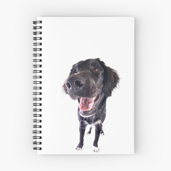 Aperçu de l'œuvre Chien noir drôle avec grand nez créée et vendue par idapix.