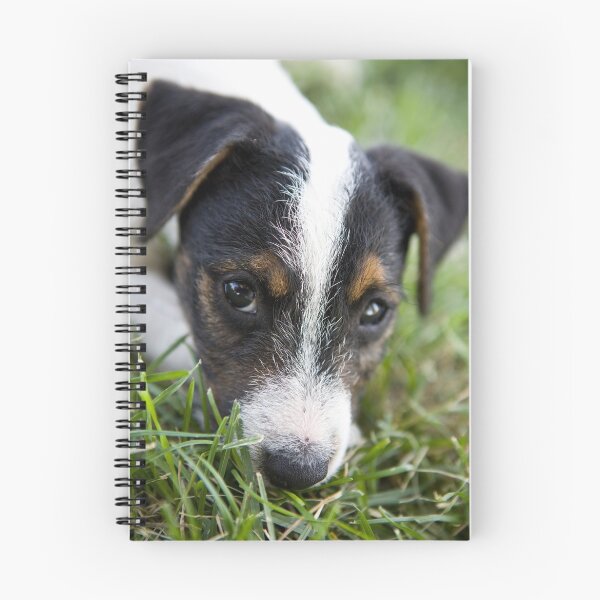 Item preview, Jack Russel Terrier Puppy designed and sold by idapix.