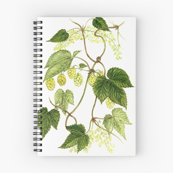 Item preview, Common Hop - Humulus lupulus designed and sold by Sue Abonyi.