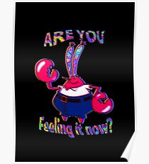 Are you feeling it now Mr Krabs 2 Poster
