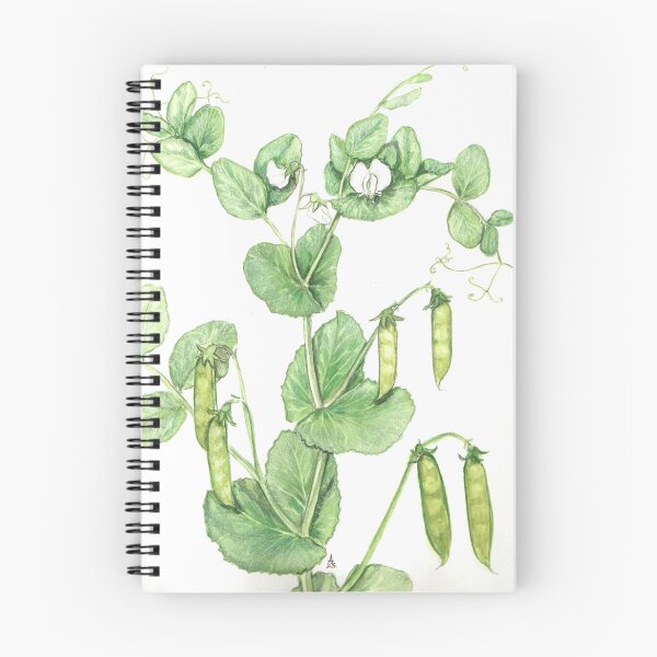 Item preview, Pisum sativum designed and sold by Sue Abonyi.