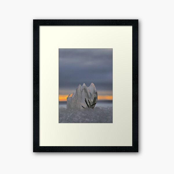 Winters Iced Framed Art Print