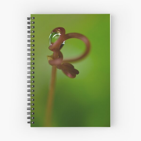 Item preview, Droplet designed and sold by Leisa  Hennessy.