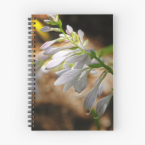 Aperçu de l'œuvre HOSTA GLORIFIED créée et vendue par FSULADY.