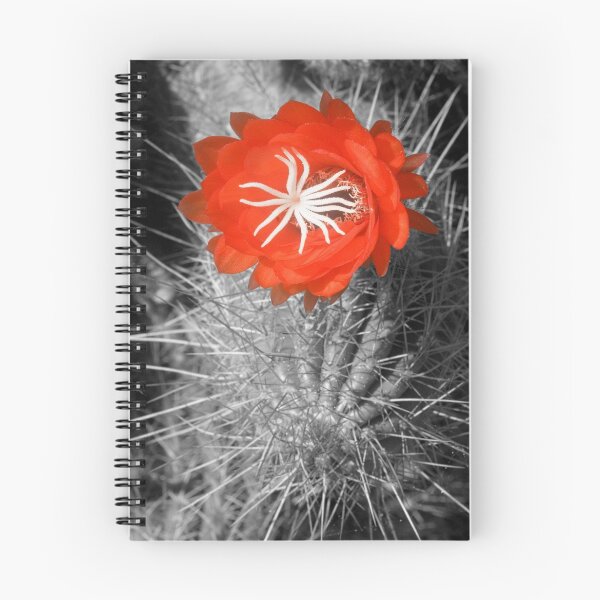 Item preview, Red Cactus flower blossom designed and sold by Eyal Nahmias.