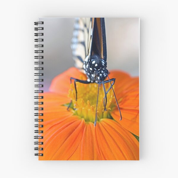 Item preview, Monarch Butterfly, front view designed and sold by Eyal Nahmias.