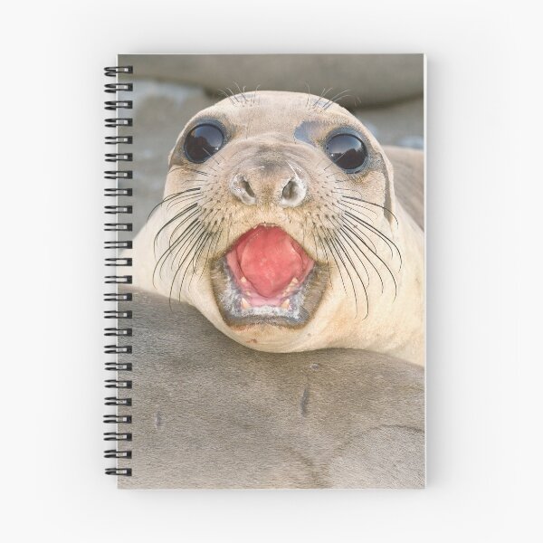 Item preview, A female Elephant seal Mirounga angustirostris designed and sold by Eyal Nahmias.