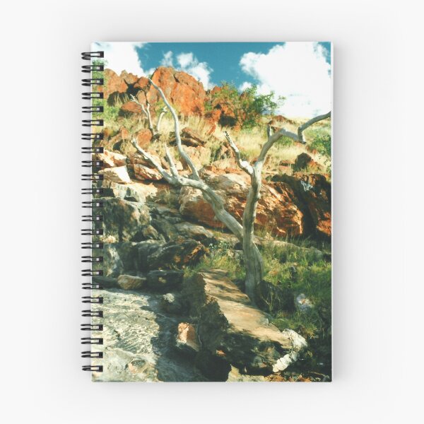 Item preview, The Old Tree designed and sold by Jayson Gaskell Photography.