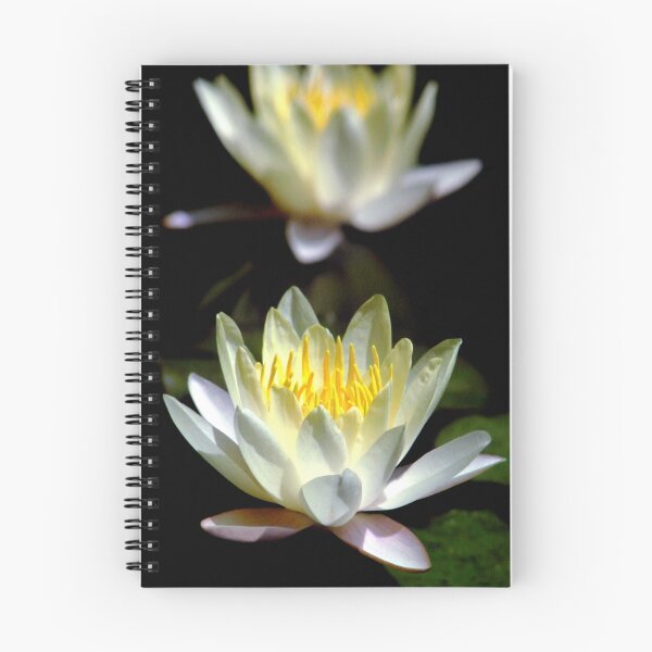 Item preview, Lotus Mirror designed and sold by PixPlanet.