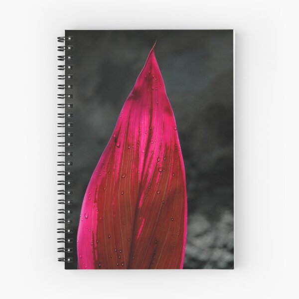 Item preview, Caribbean Fire, 2006 designed and sold by shadowphoto.