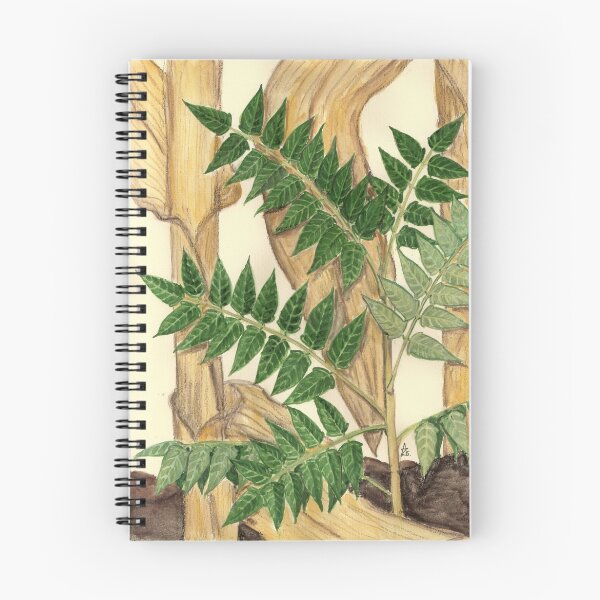 Item preview, Ghetto Palm - Ailanthus altissima designed and sold by Sue Abonyi.