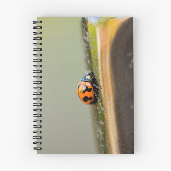 Item preview, Lady Bug - Lady Bug Fly Away designed and sold by Josh Prior.