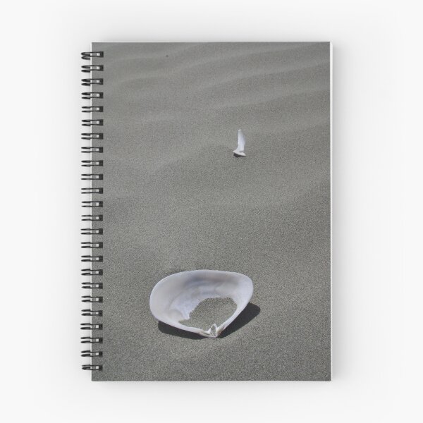 Item preview, Conchas marinas designed and sold by Geoff46.