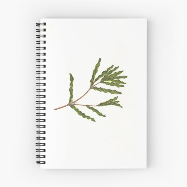 Item preview, Curly-leaf Pondweed - Potamogeton crispus designed and sold by Sue Abonyi.