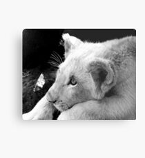 Prince Azlan Metal Print