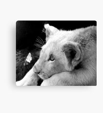 Prince Azlan Canvas Print