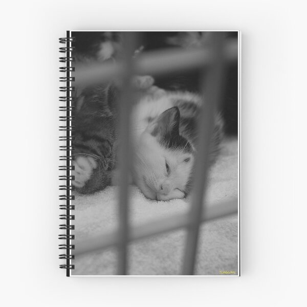 Item preview, Caged cat designed and sold by John Adulcikas.