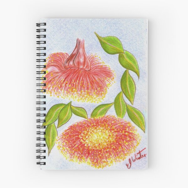 Item preview, Waratah;s in bloom. designed and sold by EmilyWinter.