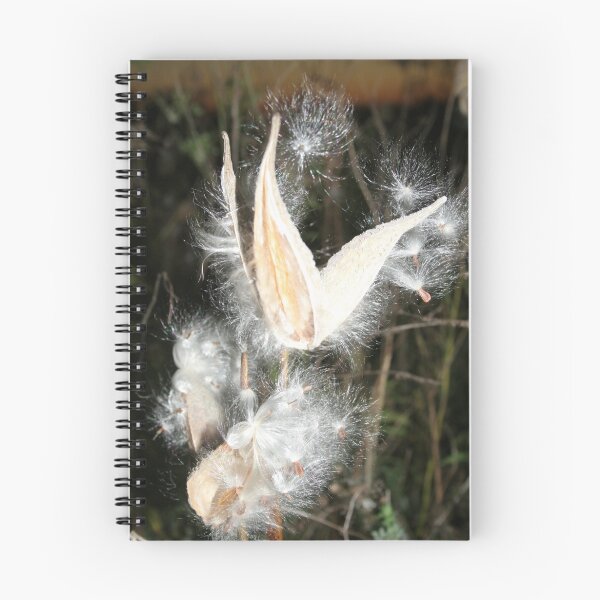 Item preview, REDREAMING MILKWEED designed and sold by REDREAMER.