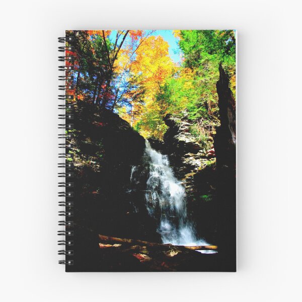Aperçu de l'œuvre Falls in Fall créée et vendue par Sharon Ulrich.