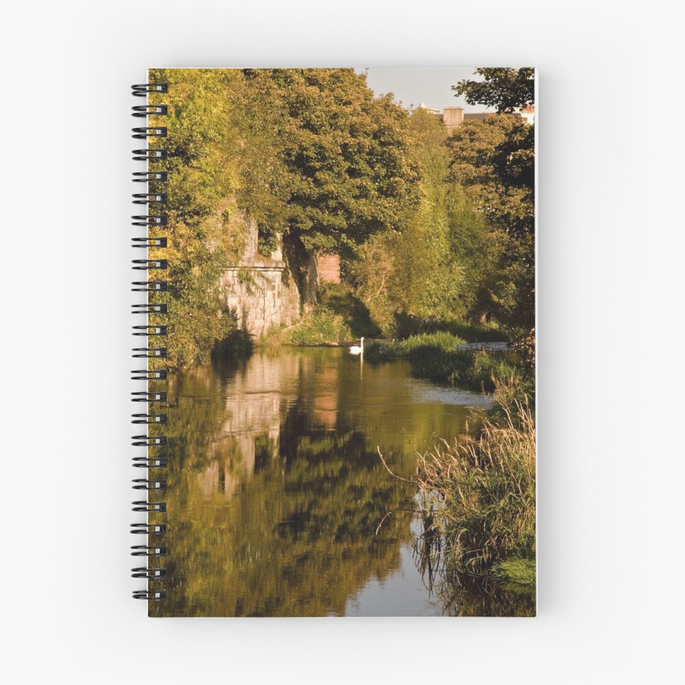 Item preview, Spiral Notebook designed and sold by Ranger1.
