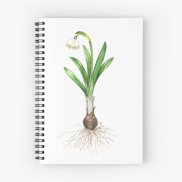 Item preview, Spring Snowflake - Leucojum vernum designed and sold by Sue Abonyi.