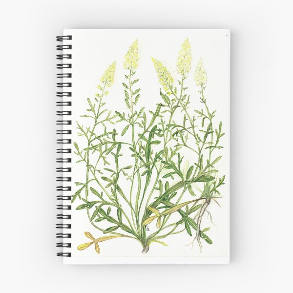Artikelvorschau, Wild Mignonette - Reseda lutea entworfen und verkauft von Sue Abonyi.