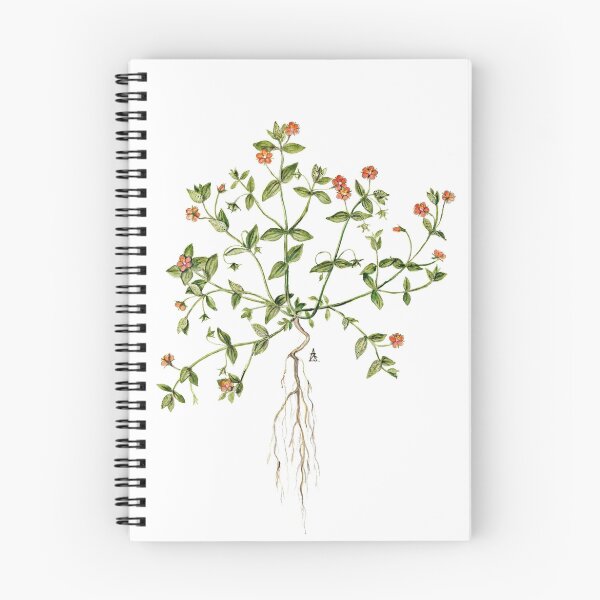 Item preview,  Scarlet Pimpernel - Anagallis arvensis designed and sold by Sue Abonyi.
