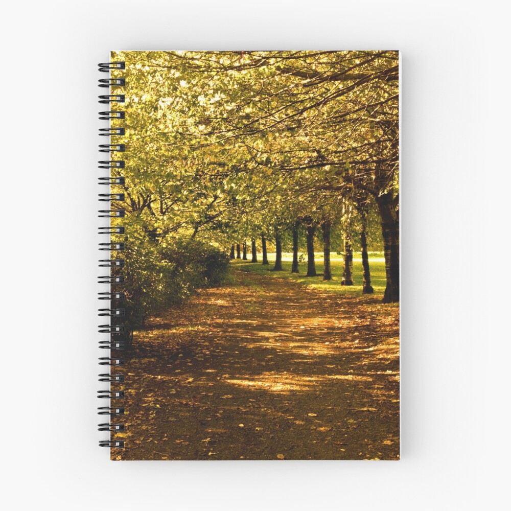 Item preview, Spiral Notebook designed and sold by Ranger1.