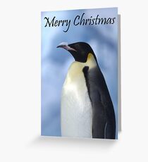 Emperor Penguin 3 - Merry Christmas Card Greeting Card