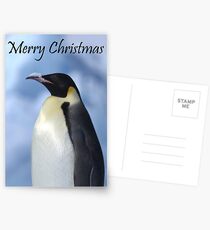 Emperor Penguin 3 - Merry Christmas Card Postcards