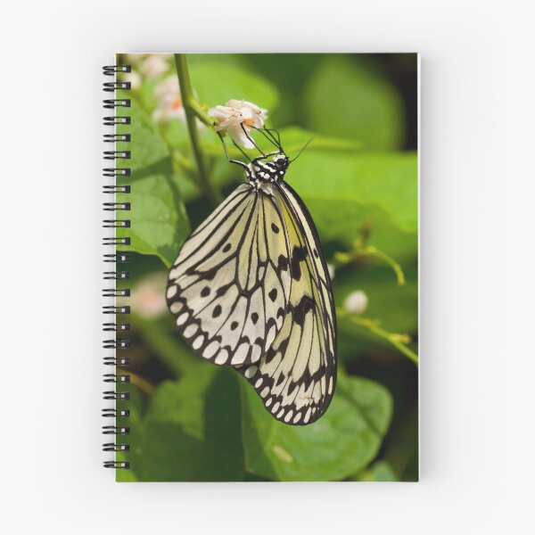 Item preview, Rice Paper Butterfly 1 designed and sold by Mark Snelson.