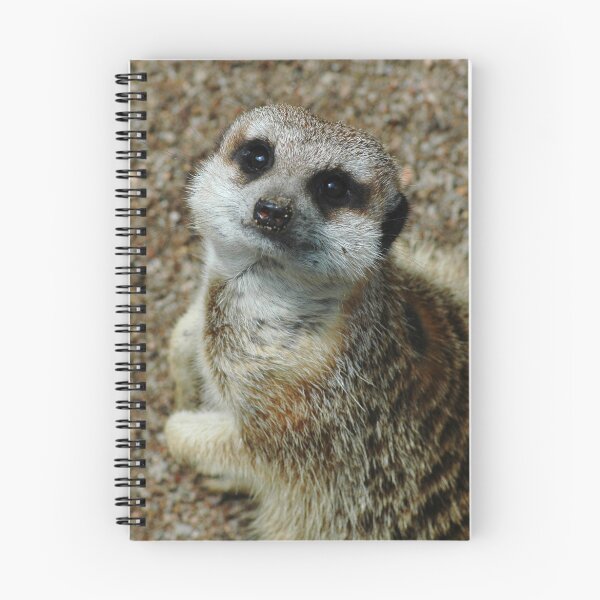 Item preview, Poser designed and sold by Stephen Colquitt.