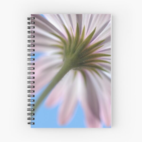 Aperçu de l'œuvre African Daisy créée et vendue par Lorraine Deroon.