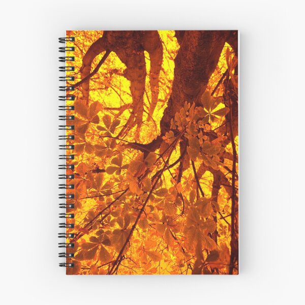 Item preview, Tree Fire 2 designed and sold by Keith Poynton.