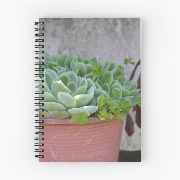 Item preview, Grandpa's pot plant designed and sold by Tiffany Ho.