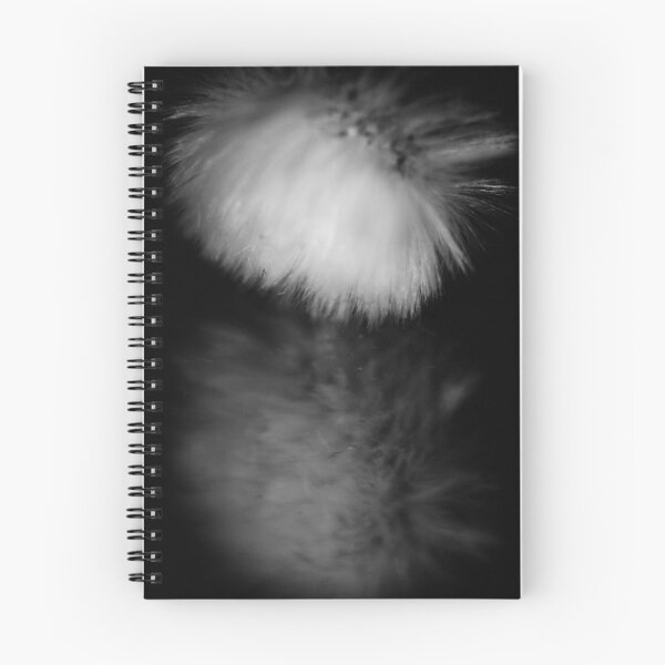 Item preview, double designed and sold by studiofascino.