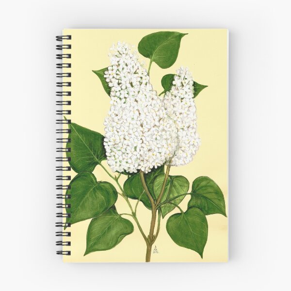 Item preview, Lilac - Syringa vulgaris forma alba designed and sold by Sue Abonyi.
