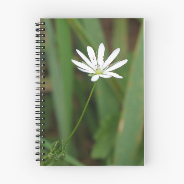 Item preview, Single White Flower designed and sold by Deborah  Bowness.