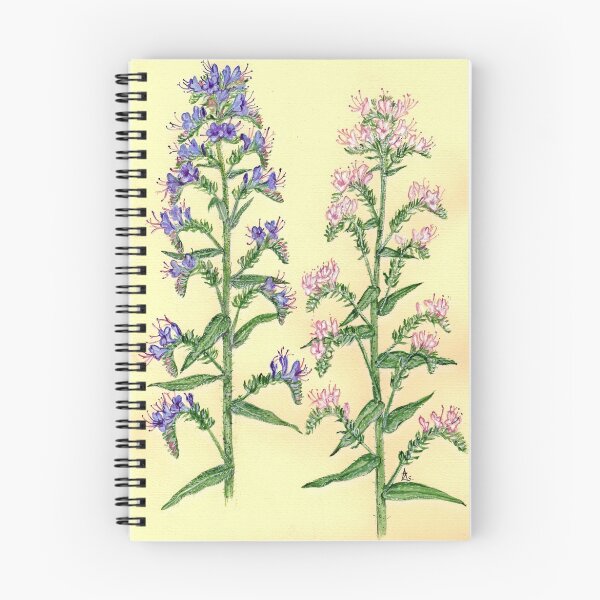 Item preview, Viper's Bugloss - Echium vulgaris designed and sold by Sue Abonyi.