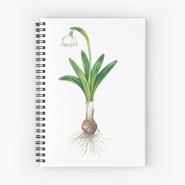 Artikelvorschau, Spring Snowflake - Leucojum vernum #2 entworfen und verkauft von Sue Abonyi.