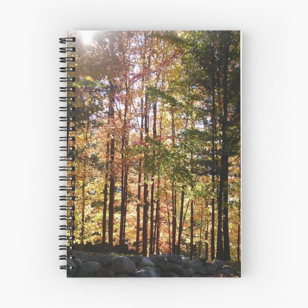 Item preview, Autumn Drive in Michigan designed and sold by William  Boyer.