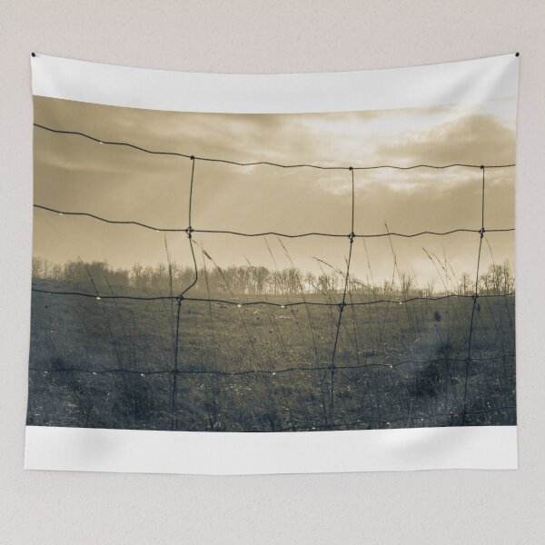 Item preview, After the Storm designed and sold by Robert Alsop.