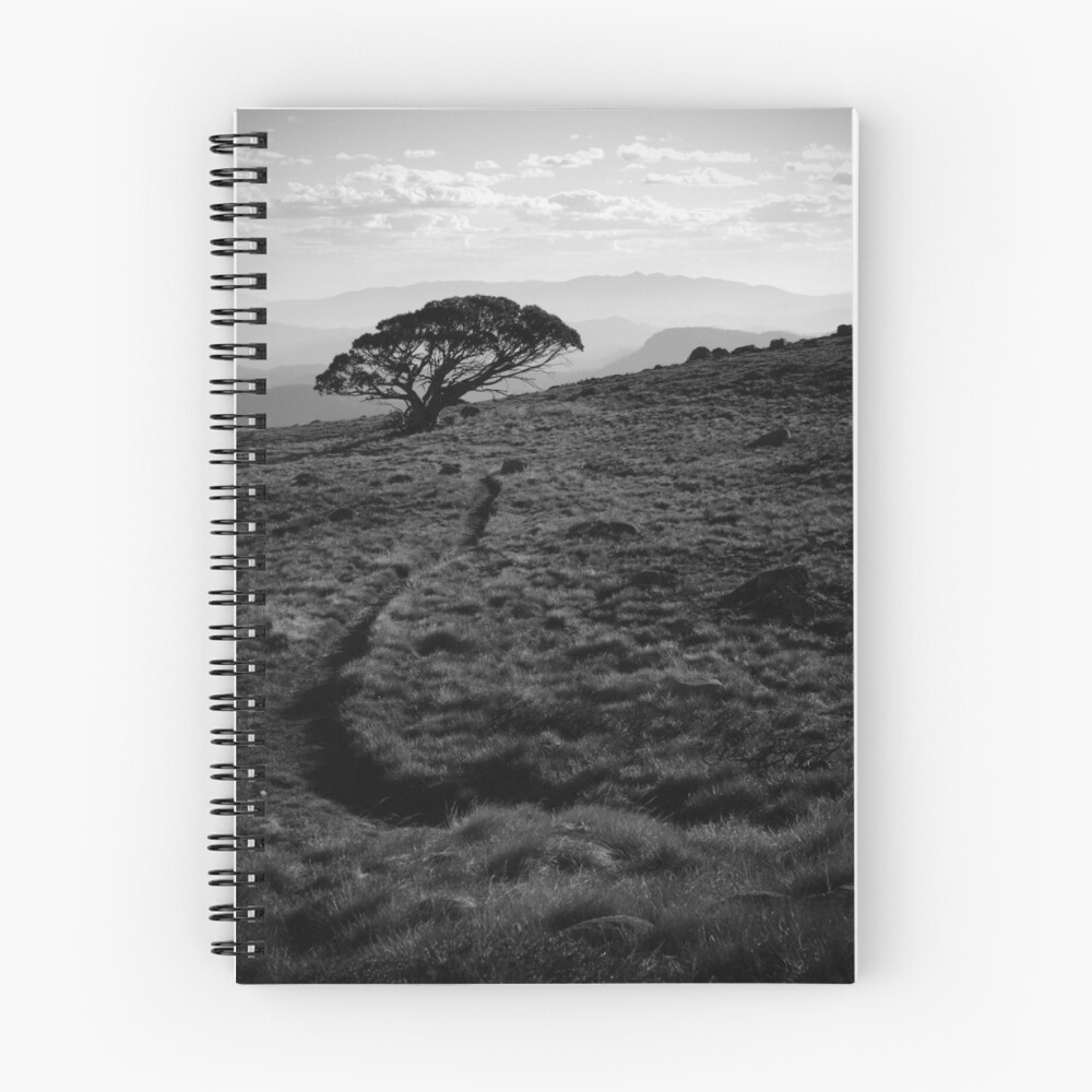 Item preview, Spiral Notebook designed and sold by mattydj.