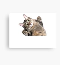 Winnie Metal Print