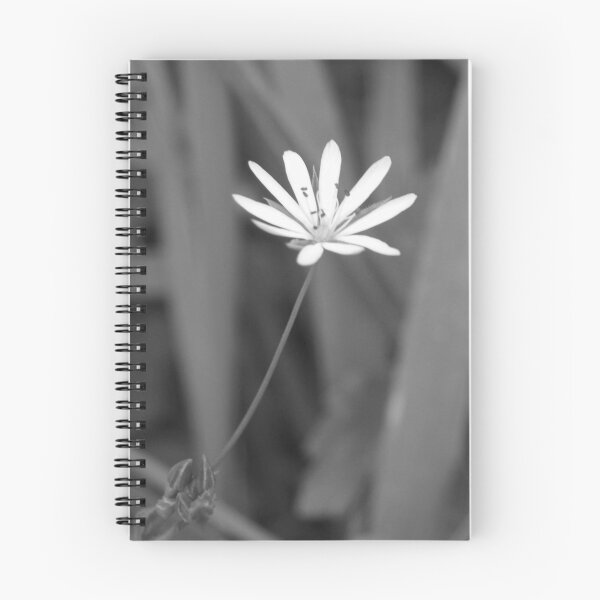 Item preview, Mono designed and sold by Deborah  Bowness.