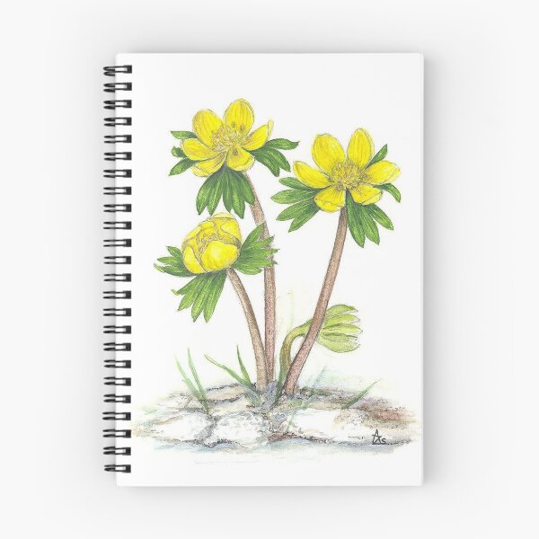 Item preview, Winter's Sexton - Eranthis hyemalis designed and sold by Sue Abonyi.