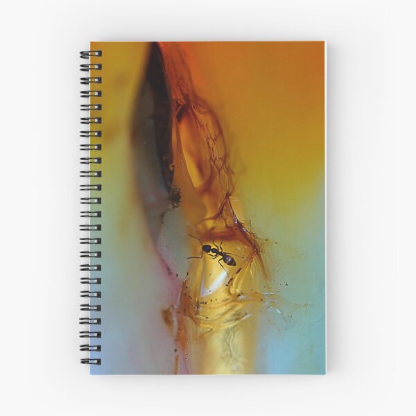 Item preview, The ant's cave designed and sold by Peter Hammer.
